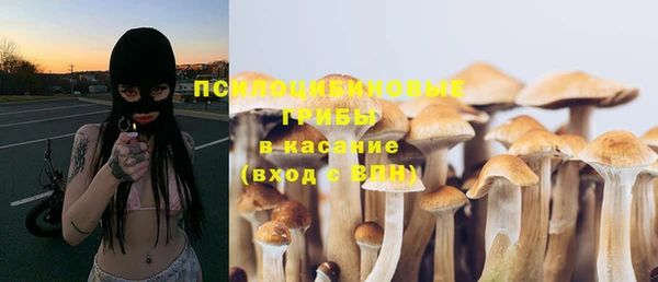 mix Вяземский