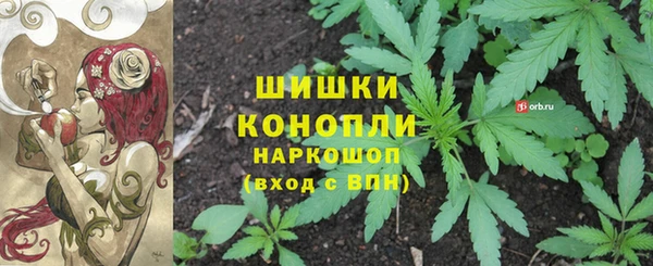 прущая мука Вязьма