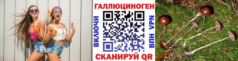 Псилоцибиновые грибы мицелий  Инза 